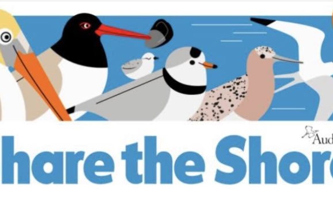 Sharing the Shore