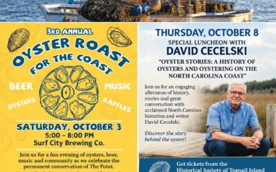 Oysters: A Story of Our Coast